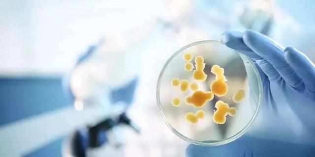 FDA鎸囧崡,鎸囧崡寮曢鍏变績鎴愰暱