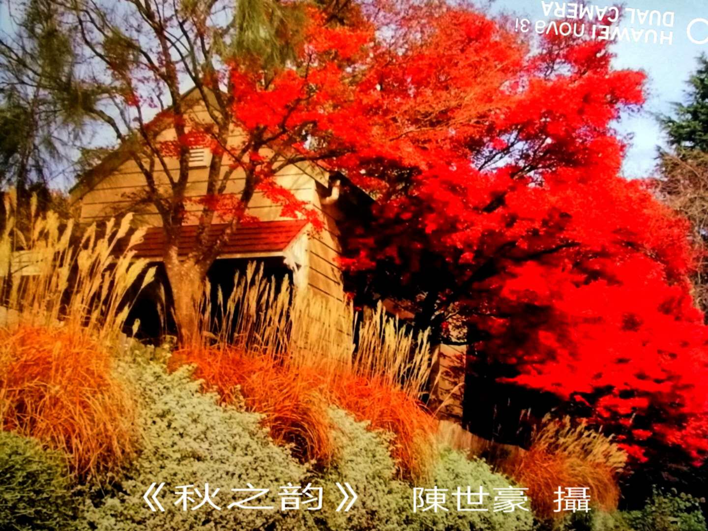 陈世豪摄影集《心弦》部分作品分享