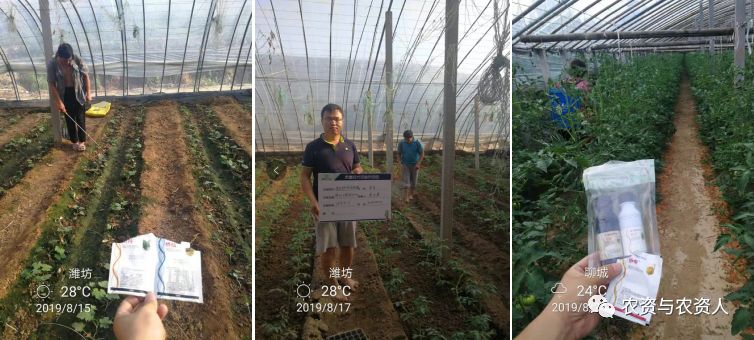 侨昌现代农业有限公司,侨昌现代农业