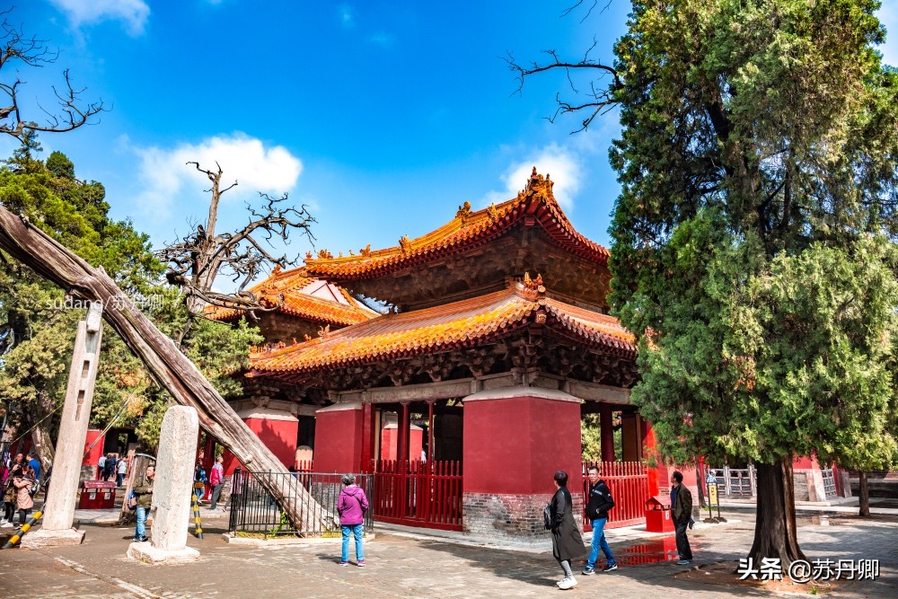 被梁思成称为中国第一国宝的建筑,梁思成曲阜孔庙主要内容