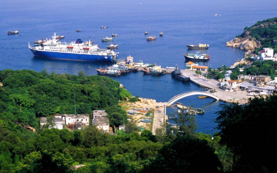 西沙东岛野牛群是从哪里来的,西沙东岛有多少野牛