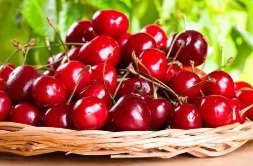 西安樱桃采摘最佳时间,西安樱桃哪里可以摘