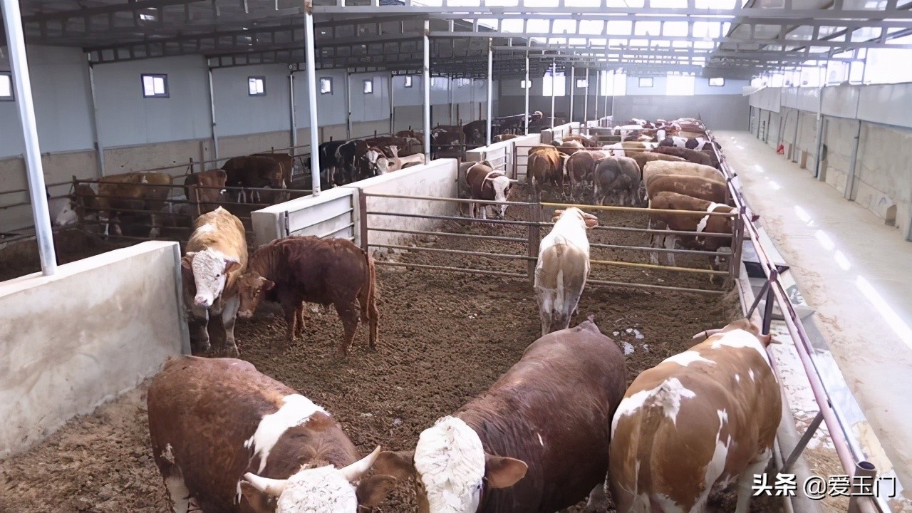 兴业联社播撒及时雨助力春耕备耕,酒泉农商银行春耕助力贷