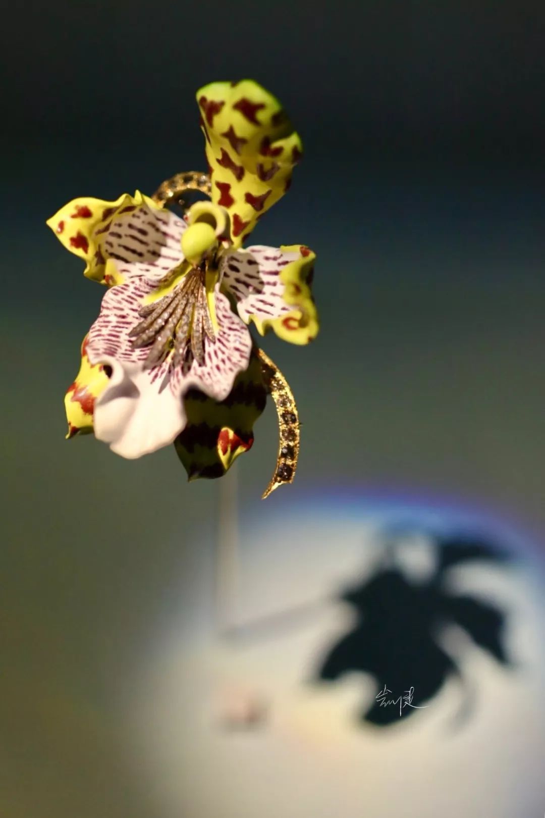 蒂芙尼最新珠宝展,蒂芙尼成就