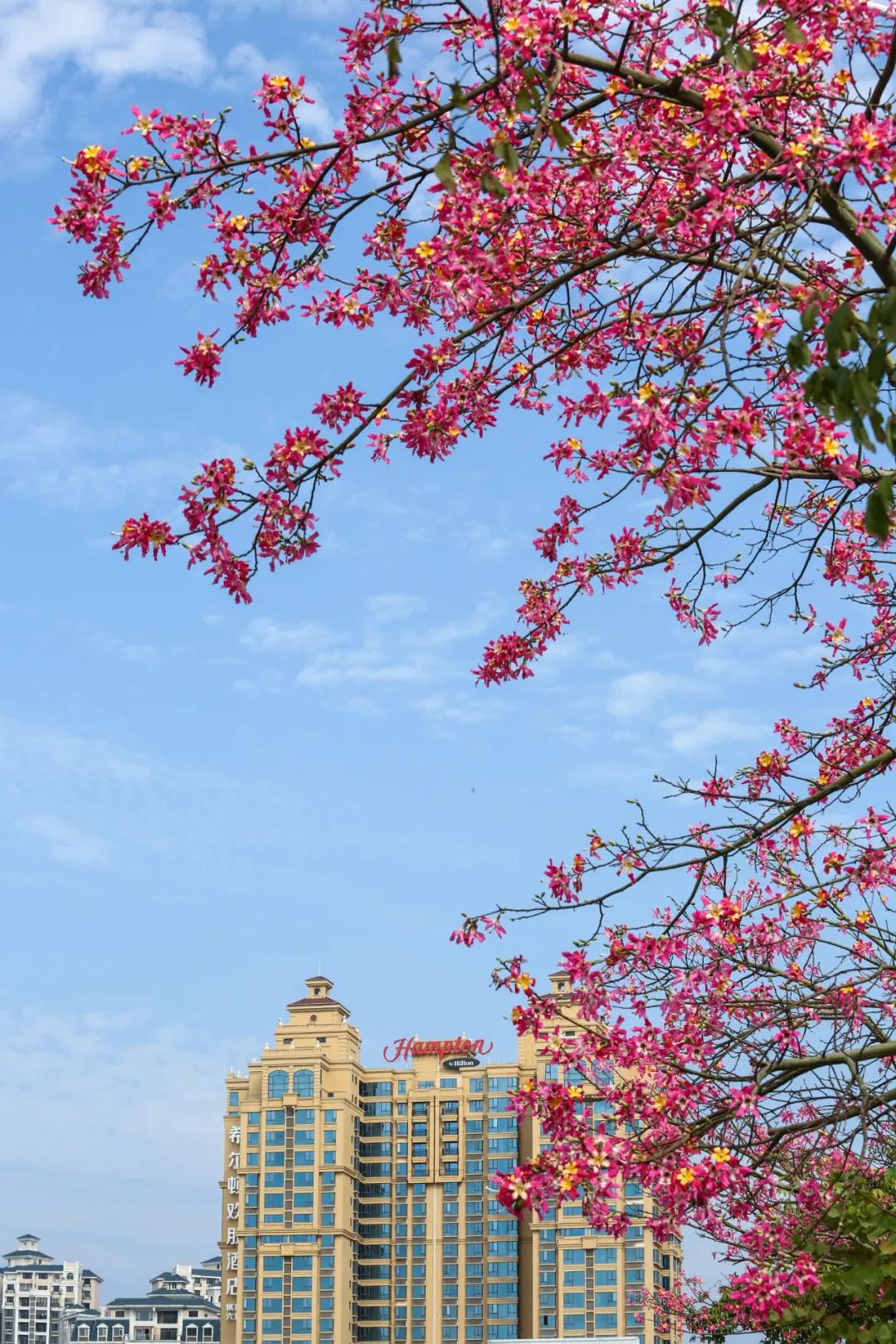 珠海买房过冬真实感受,在珠海买房十大秘诀