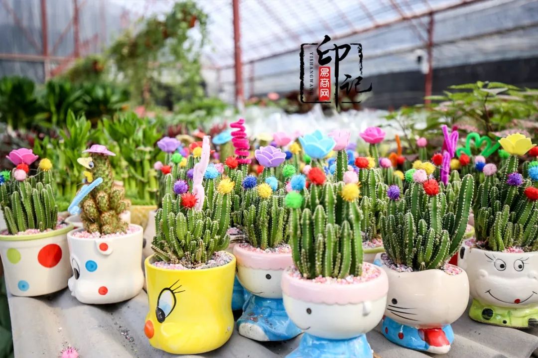 商丘花鸟批发基地,商丘花鸟市场地址