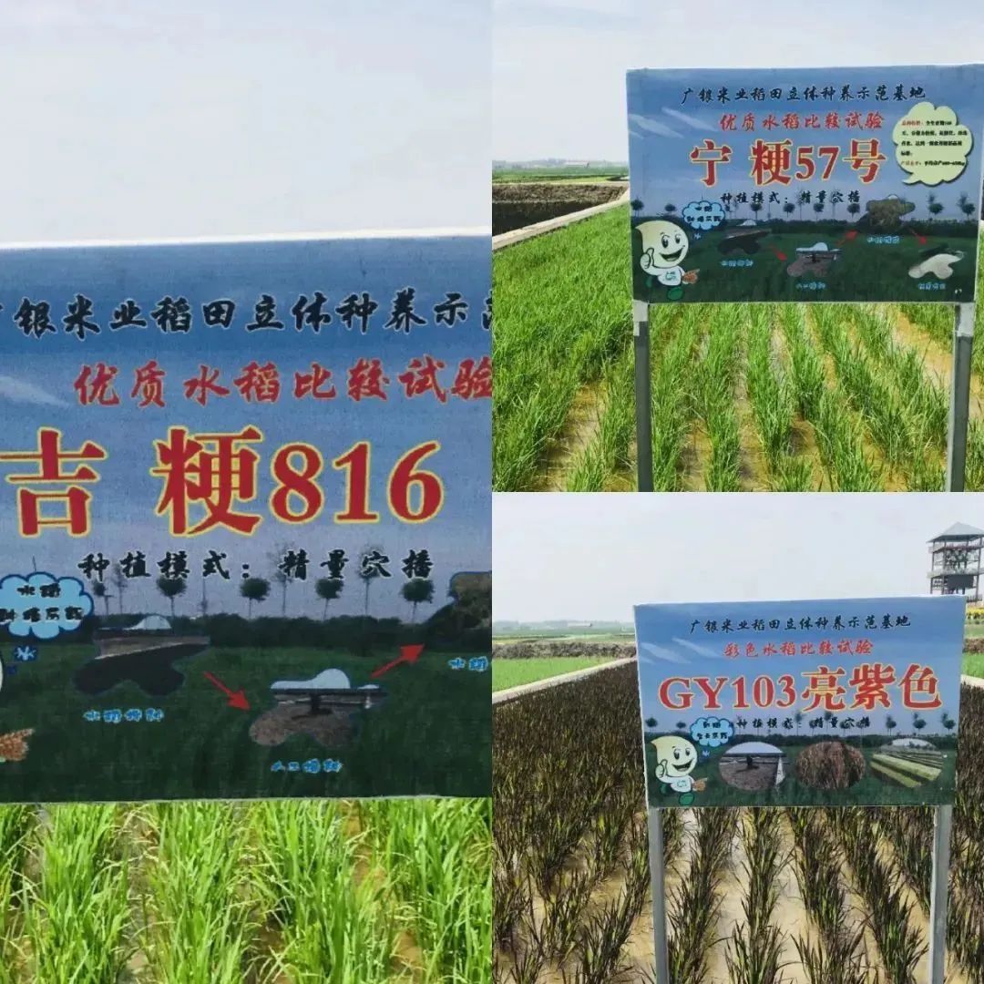 中国用了占世界多少的耕地,我国用占世界百分之几的耕地