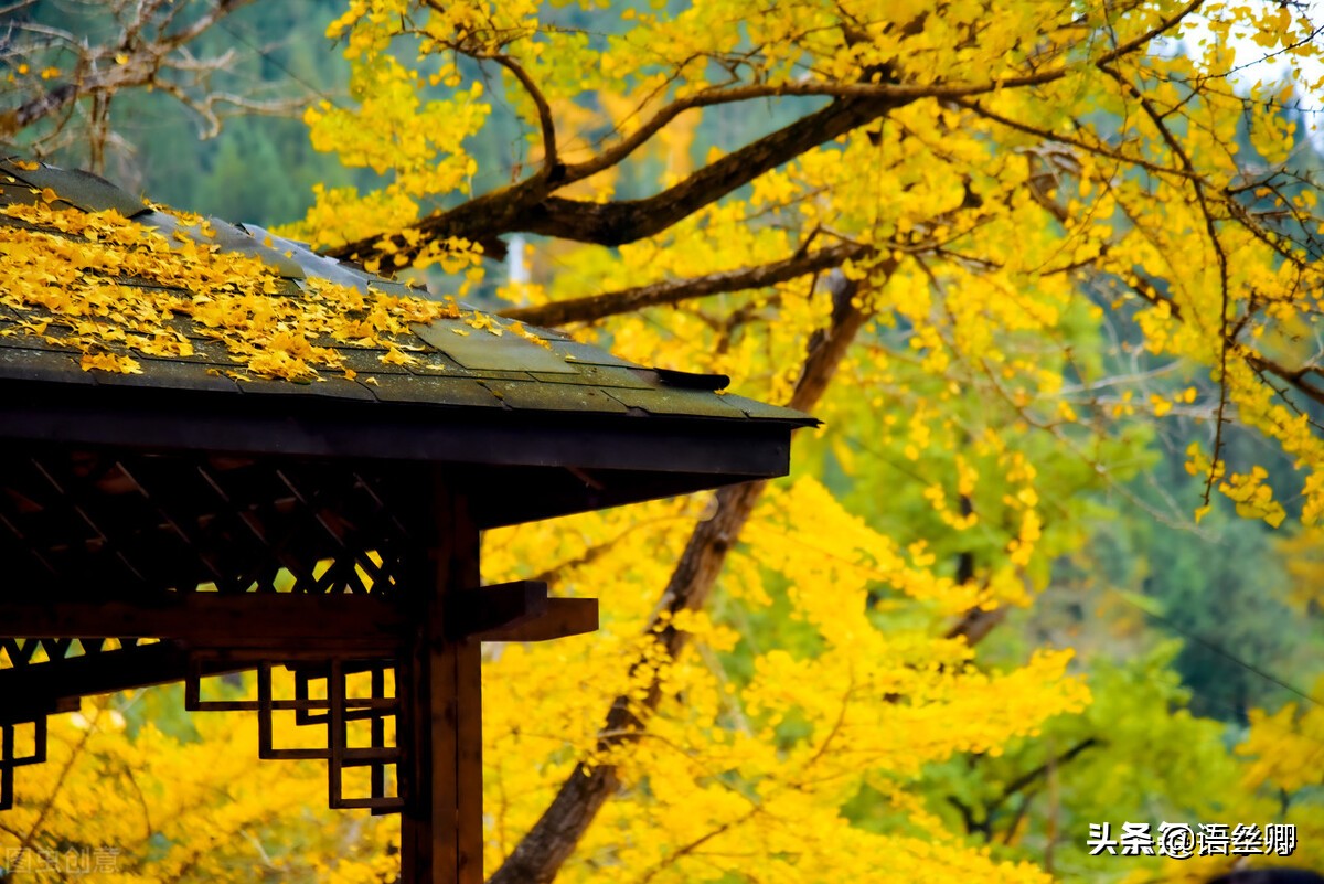 随笔一缕阳光,心中的一缕阳光随笔