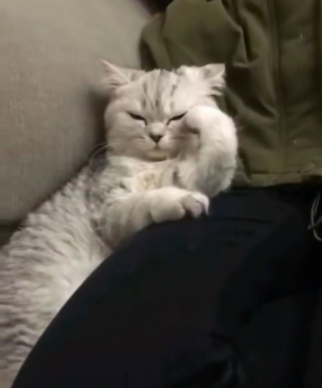 flash的前世今生和未来,flash为什么被取代