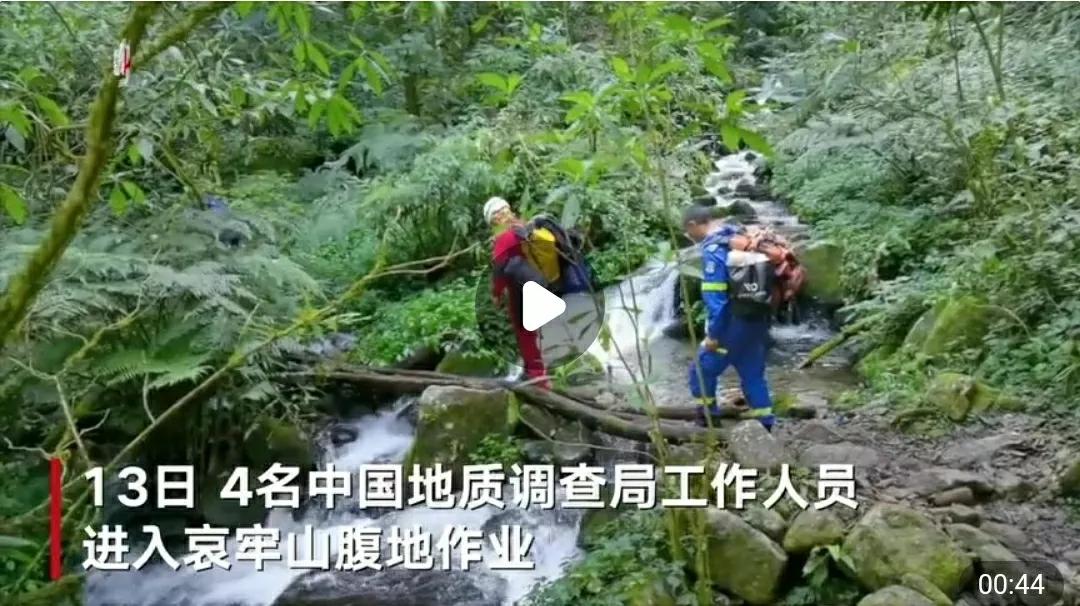 芳踪难觅濒危花!清新治愈篇:沙漠高原是吾家,豹子花的春天来了