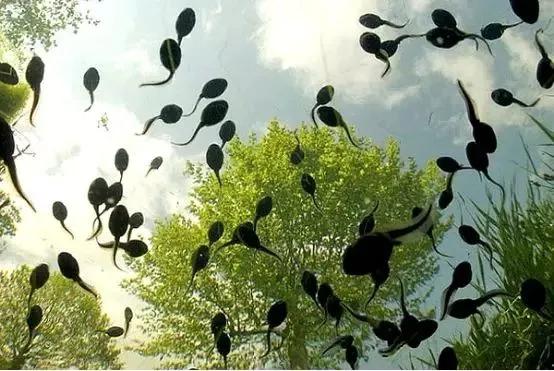 春暖花开来农村踏青,春暖花开亲近大自然来一场野炊