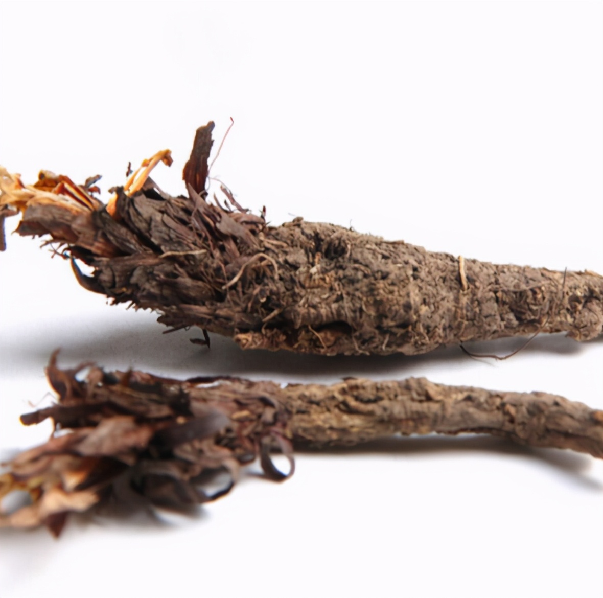 煲狗肉的做法教程,煲狗肉放什么菜最好吃