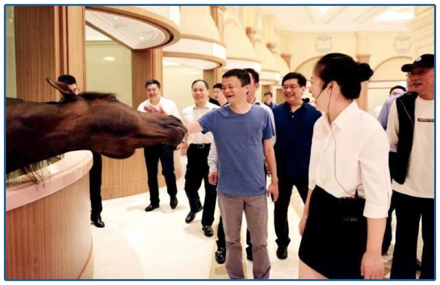 海澜之家叫板优衣库到底谁更靠谱,海澜之家叫板优衣库