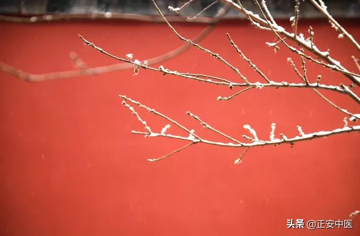 大寒做好2件事，散掉积攒了1年的寒气，把阳气养得足足的