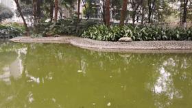 华为nova8影像配置,nova8pro拍照样张