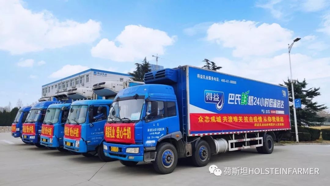 山东奶厂现状怎么样,乳企盈利牧场亏损