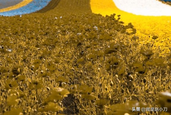 重度色弱戴色弱眼镜有效果吗,色弱眼睛矫正能恢复正常吗