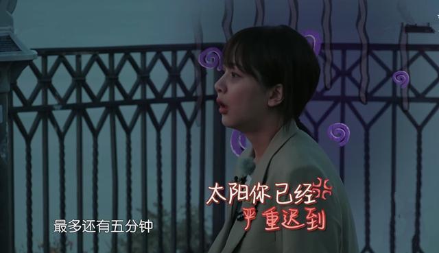 张一山商务合作,张一山张若昀合作