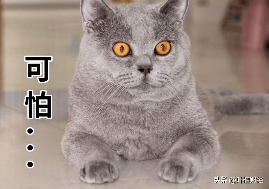 股市加杠杆最新消息图,超预期股票