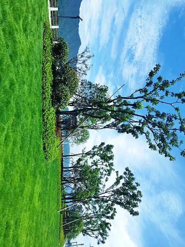 桐庐最新规划有几条高速,桐庐未来交通规划