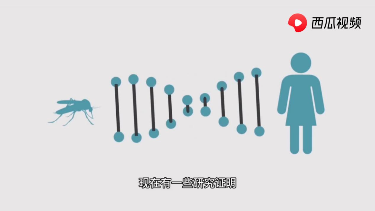 特招蚊子的血型,特招蚊子的人是哪个血型