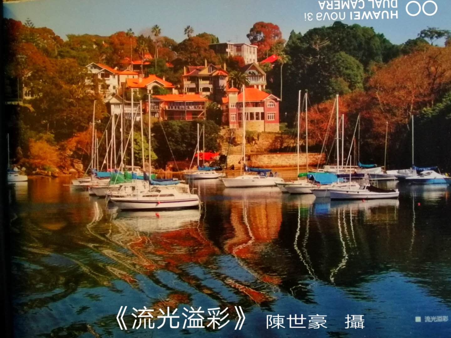 陈世豪摄影集《心弦》部分作品分享