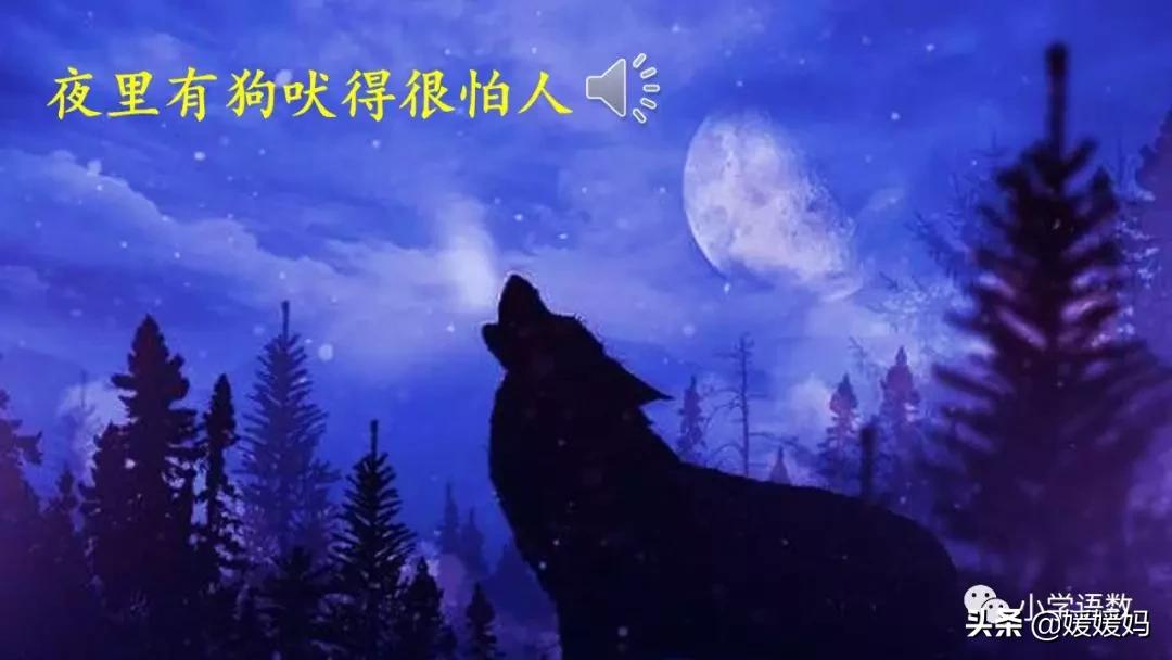 六年级下册语文表里的生物朗诵,六年级下册表里的生物小练笔400字