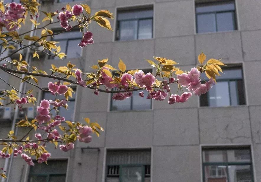 安徽合肥大学二本院校,安徽二本高校