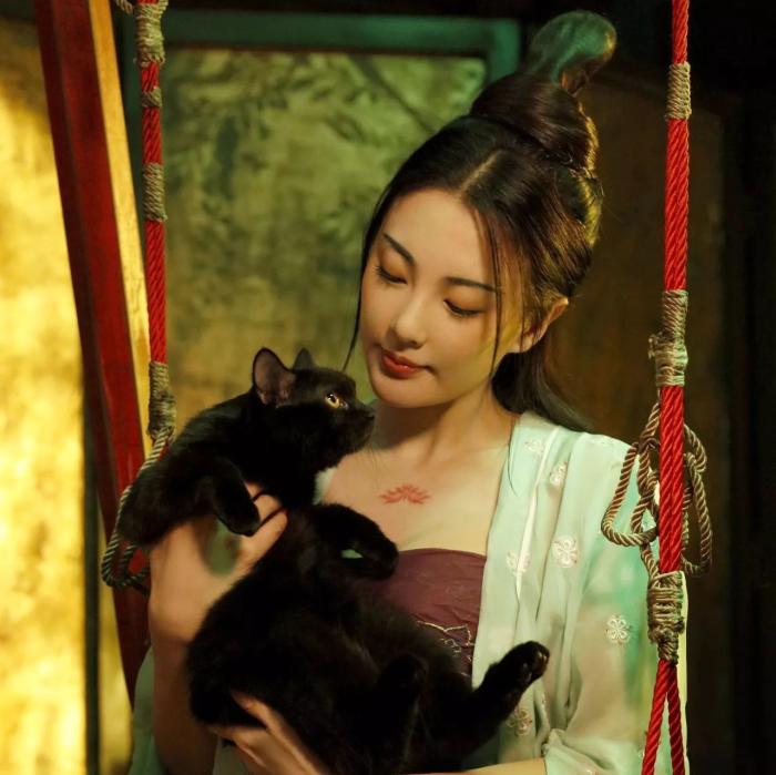 国内常见的猫的品种有哪些,国内很少人养的猫品种大全