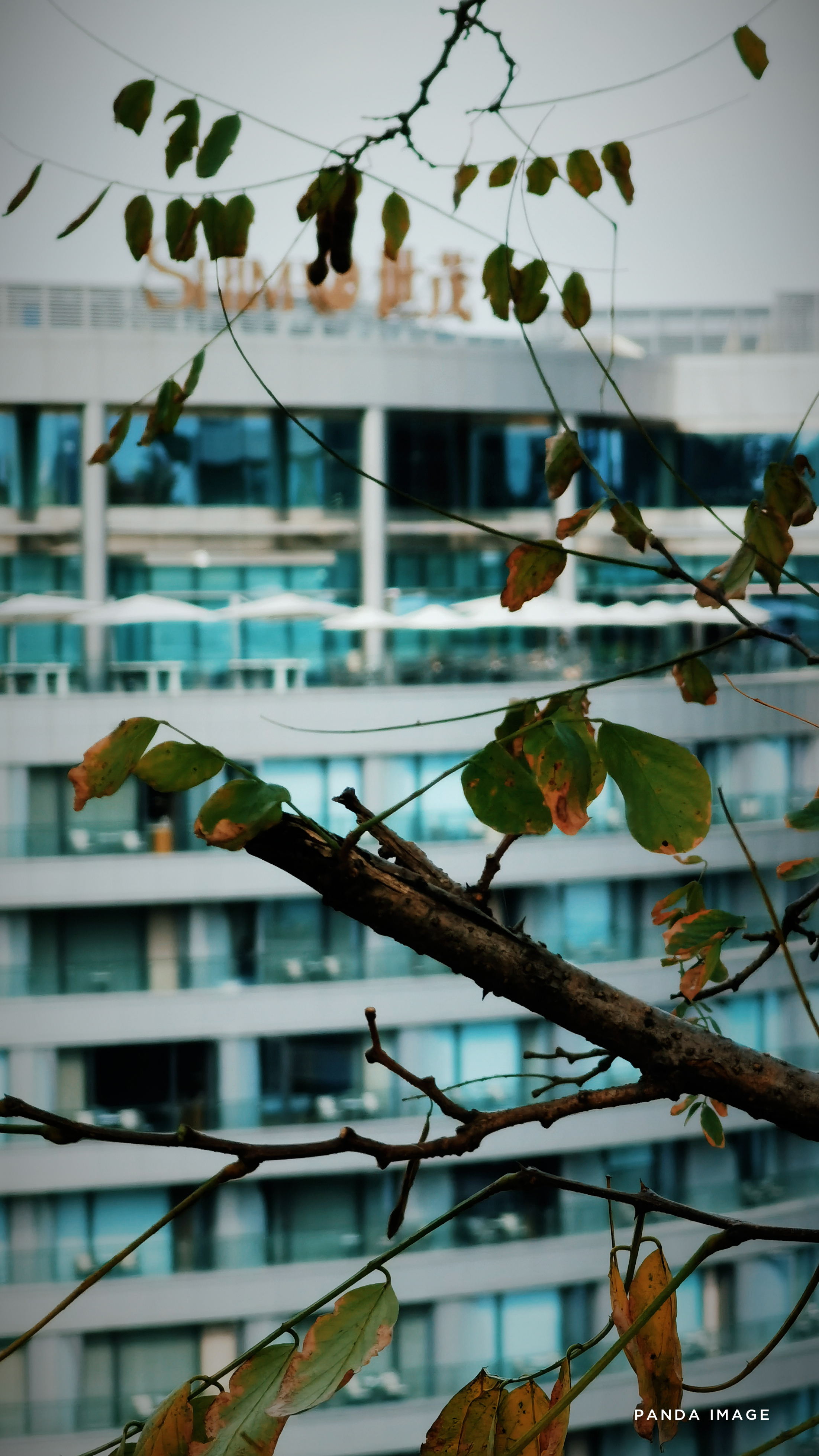 为什么深坑酒店被称为建筑奇迹,惊艳世界的深坑酒店