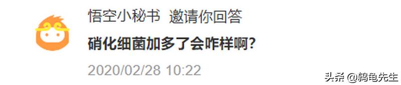 硝化细菌放多了有影响吗,硝化细菌放得太多后果会怎样