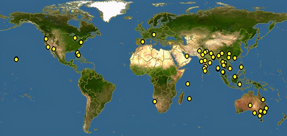 在古代富可敌国,富可敌国的真实历史