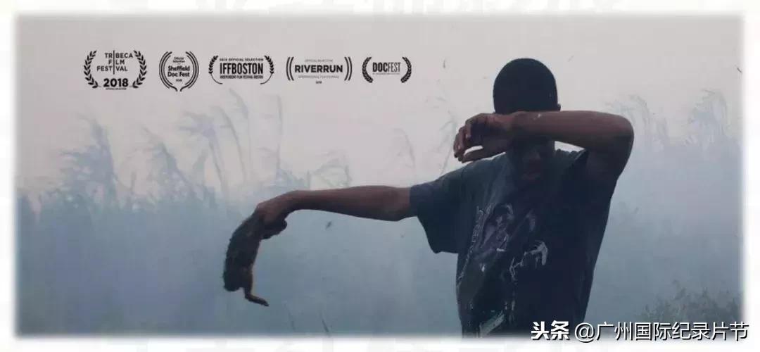 全国各地大型纪录片,2022年已上映的10部大片