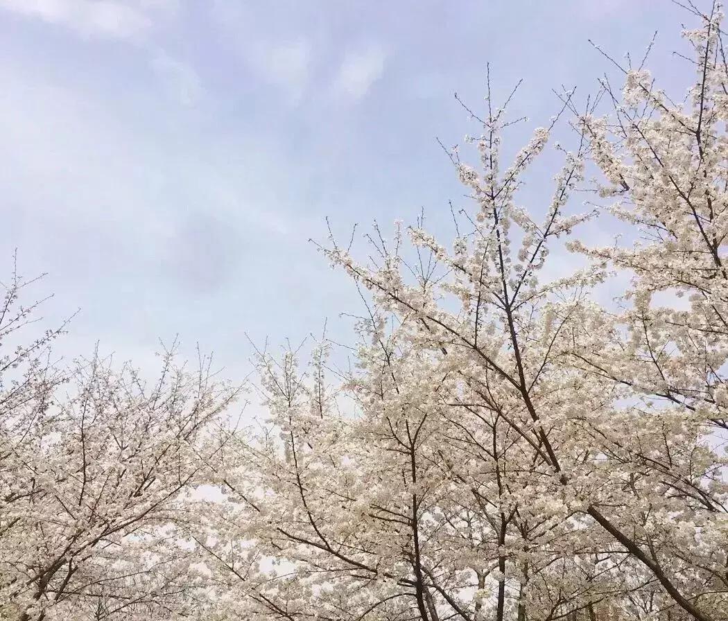 无锡遛娃户外免费,无锡惠山区遛娃好去处