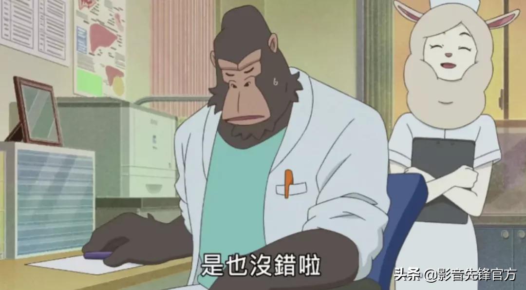 黑马新番推荐,这才是成年人该看的动漫