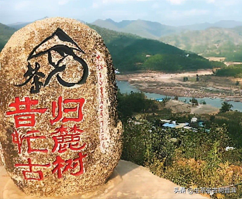 昔归普洱生茶,昔归古韵普洱