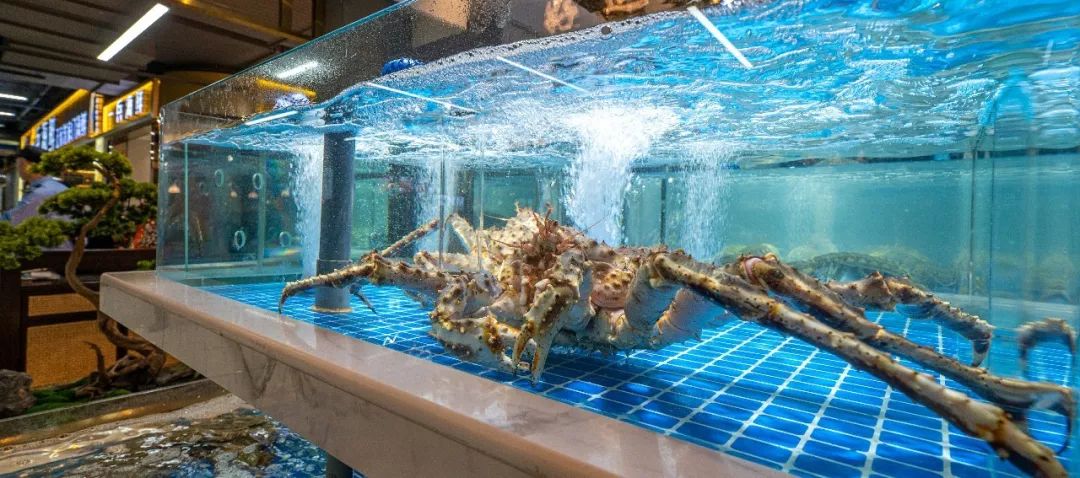 奇点杭州|近江海鲜城入驻涌金广场，店家花100万装修