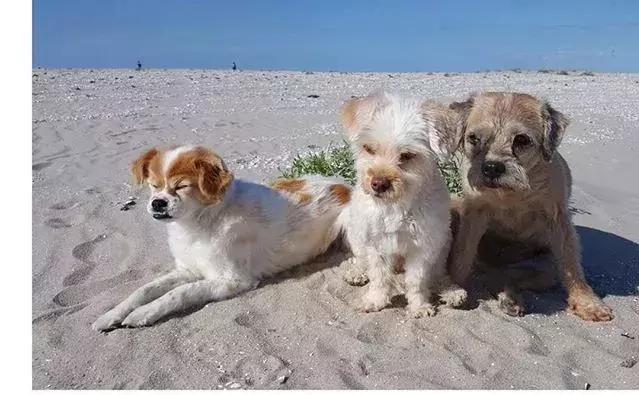 彩铅不会涂色怎么办,彩铅绘画干货