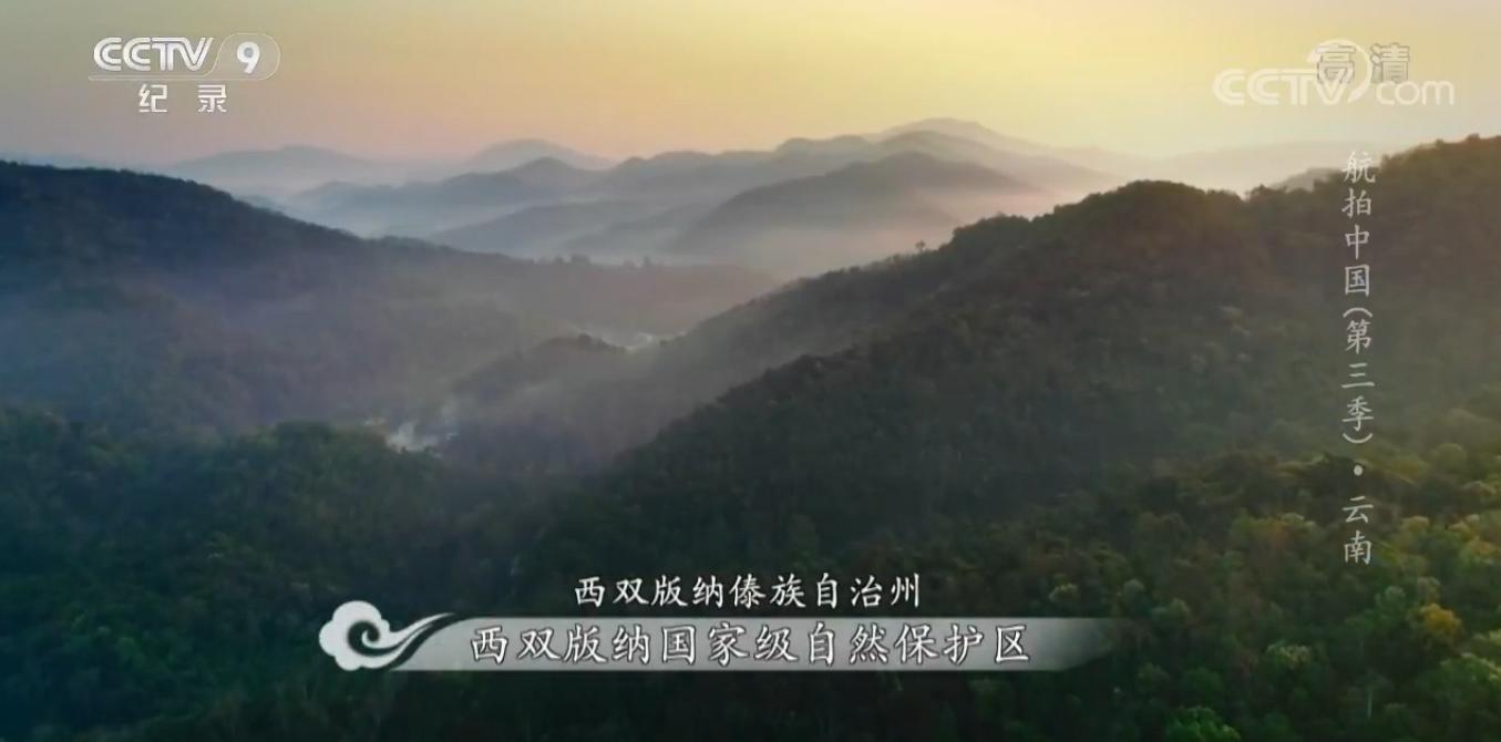 云南西双版纳市区全景航拍,航拍讲解整个西双版纳