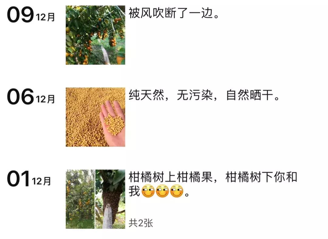 农大毕业怎么找工作,农大毕业现状