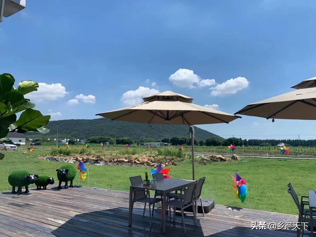 养虾人致富领头人,养虾带头人陶胜