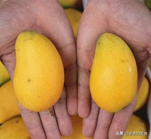 端午节有没有最便宜的水果了,端午期间热卖水果