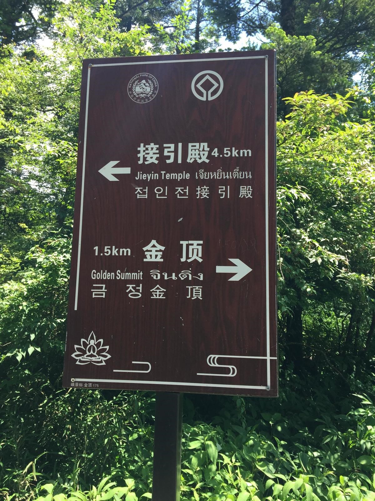 峨眉山登顶佛像,峨眉山登顶记完整版