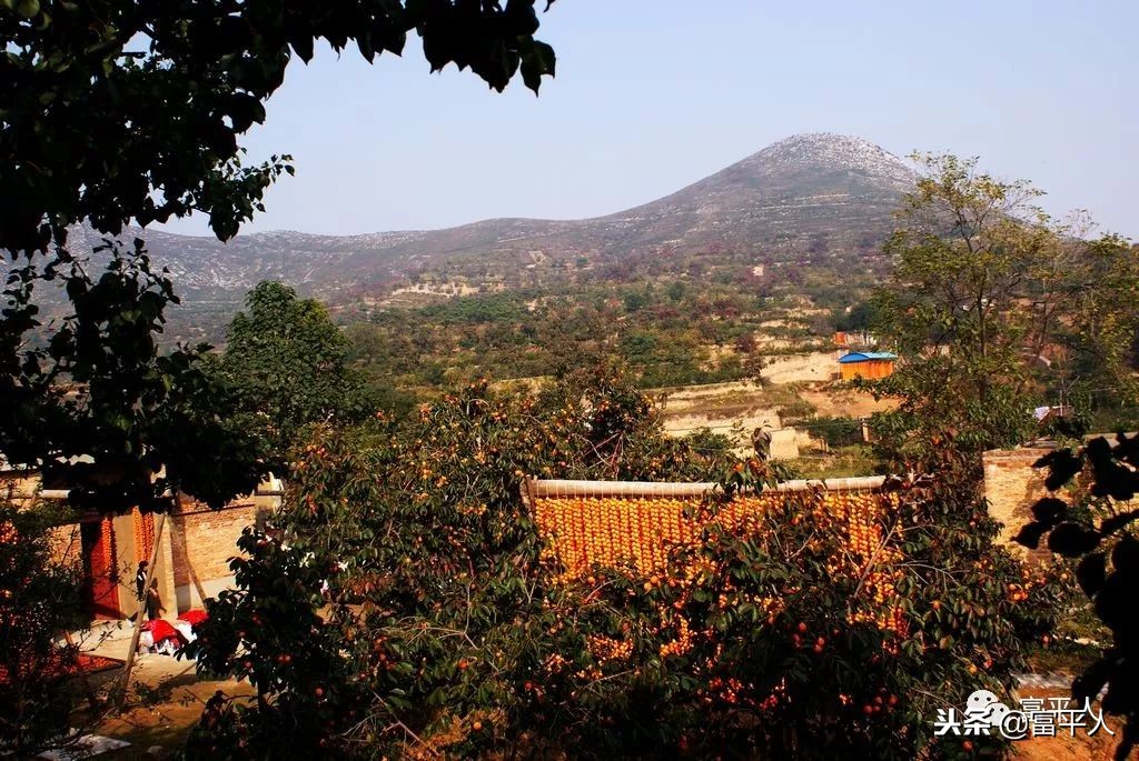 清秋，火红的思念