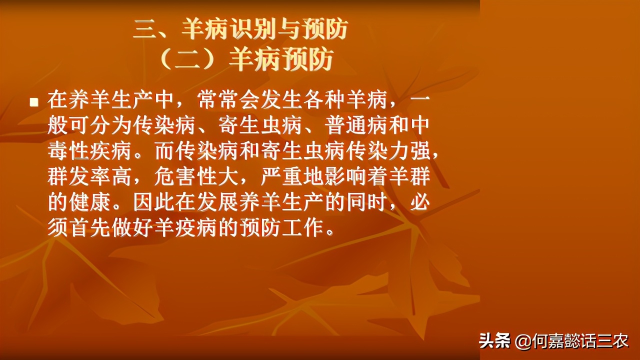 何嘉懿讲兽医养殖技术,何嘉懿的养殖方法