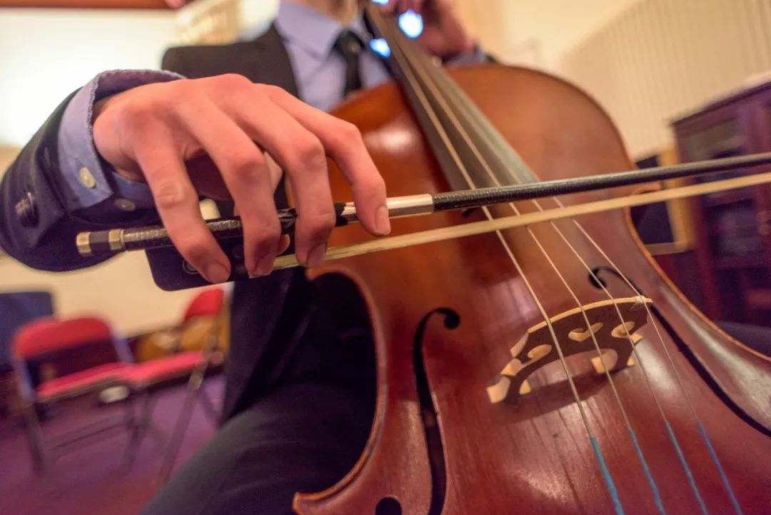 萨塞克斯丨阿丁莱学院