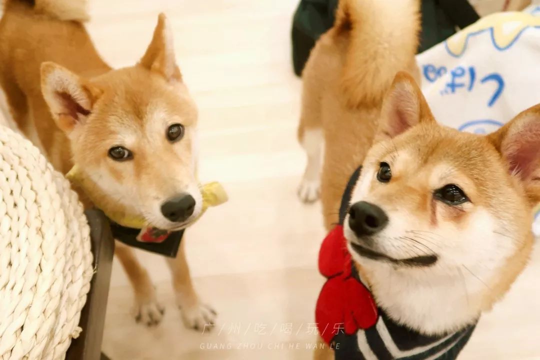 广州，说好了！等你痊愈后，这100件事我们一起完成。