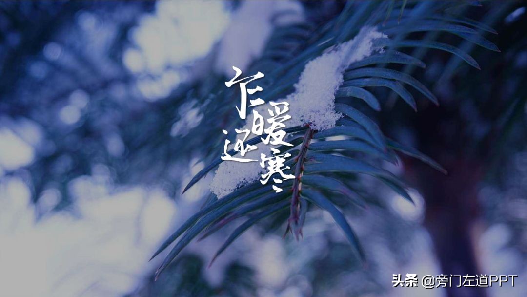 ppt排版的技巧和思路,ppt排版设计技巧和方法