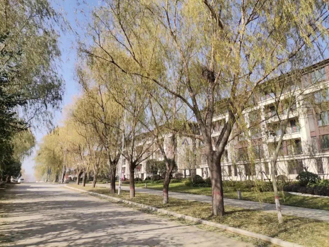 南阳月薪5000买什么样的房子,南阳的有钱人都住在哪