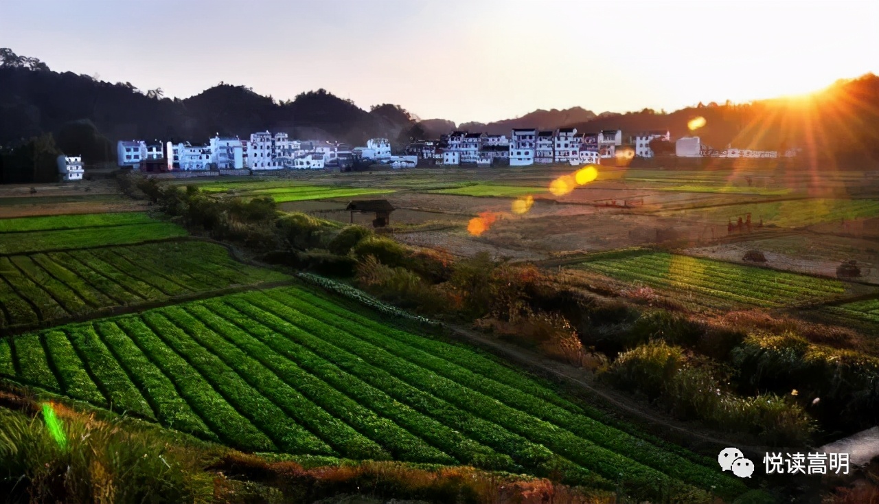 云南省2020年省级卫生乡镇,2020-2022年度省级卫生村